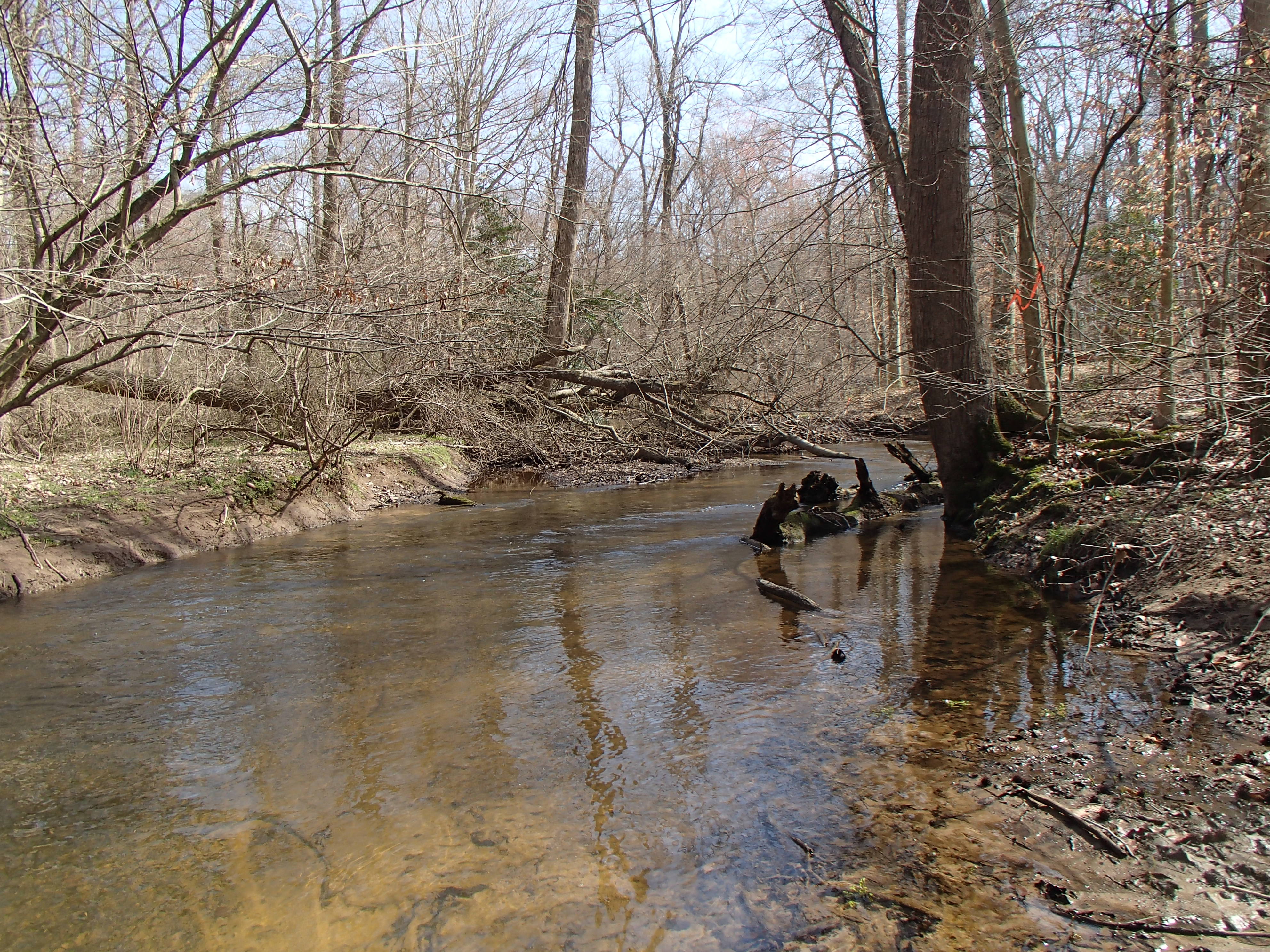 Field photo showing stream conditions at site UPCK-202-R-2016_Midpoint looking upstream